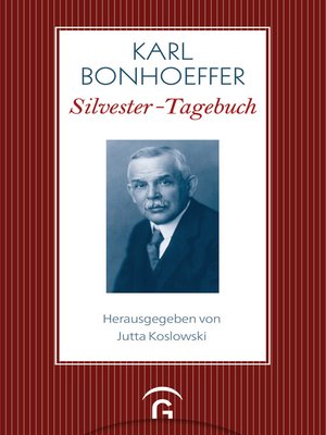 cover image of Silvester-Tagebuch